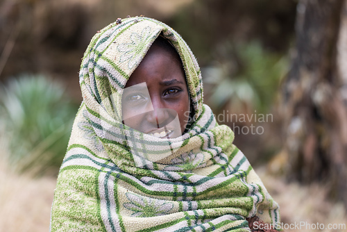 Image of Ethiopian shepherdess girl, Simien Mountains, Ethiopia