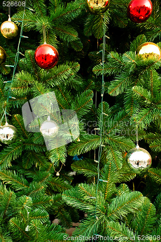 Image of Christmas Tree