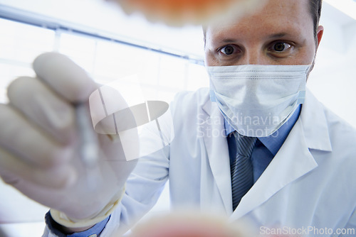 Image of Dentist, mouth and pov or teeth health or cleaning with dental or hygiene consultation, filling or orthodontist. Male person, mask and implant or gum disease with bacteria tool, procedure or exam