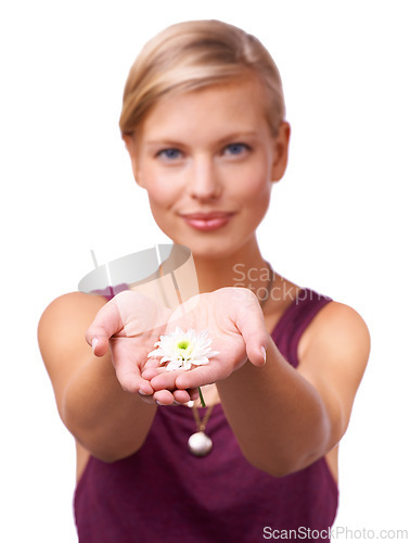 Image of Studio, young woman and giving a daisy by white background for scent of perfume for botanicals. Model, present and new beginning with flower or love and kindness with floral plant for accountability