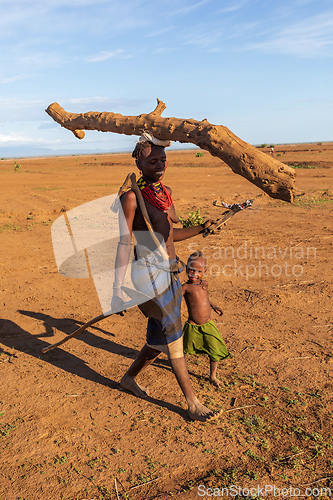 Image of Dasanesh woman carries tree trunk on her head, Omorate, Omo Valley, Ethiopia