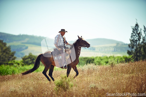 Image of Cowboy, western and man riding horse with saddle on field in countryside for equestrian or training. Nature, summer and rodeo with mature horseback rider on animal at ranch outdoor in rural Texas