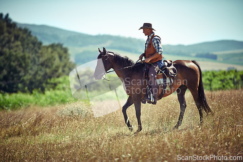 Image of Meadow, western and cowboy riding horse with hat on field in countryside for equestrian or training. Nature, summer and rodeo with mature man on horseback saddle at ranch outdoor in rural Texas