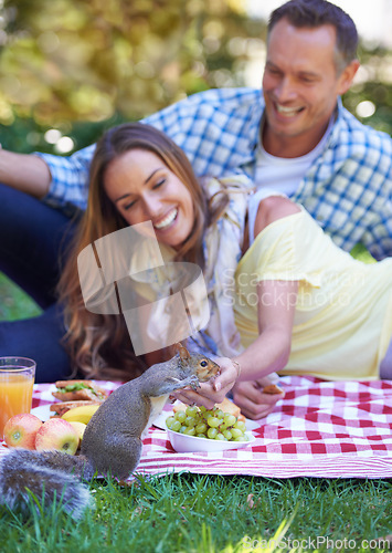 Image of Couple, picnic and squirrel in outdoor nature, love and romance in relationship on weekend. Mature man, woman and people on date in countryside, smile and adventure in forest or happy on vacation