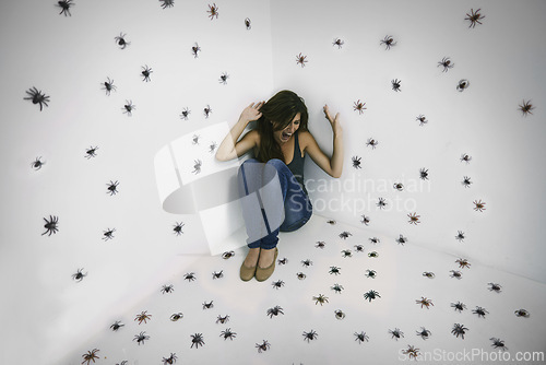 Image of Woman, spiders and scream in fear at studio for arachnophobia problem, scared or shouting. Female person, insects and trapped with struggle suffering for danger panic or terror, poisonous or horror