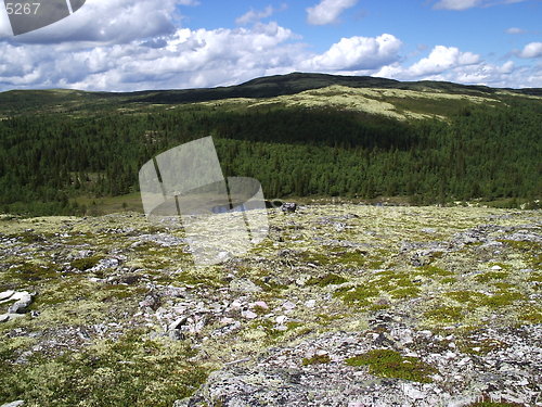 Image of Mountain