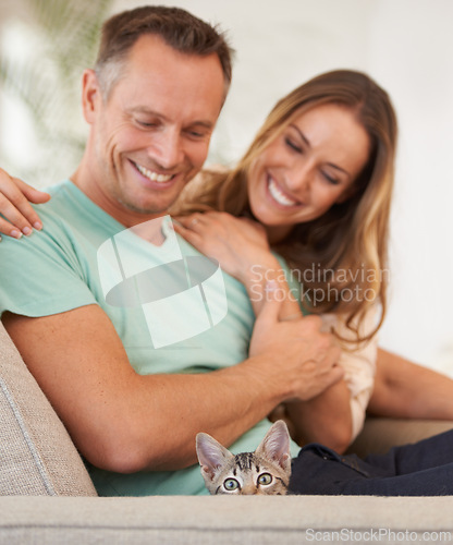 Image of Man, woman and play with kitten for pet love, support and care with trust, happiness and relax on sofa at family home. Couple with baby cat, kindness and affection with animal on couch for adoption