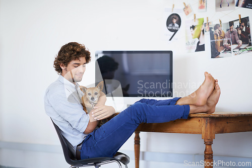 Image of Happy man, computer screen or relax with dog and feet on table or technology mock up for online publisher. Young guy, care and desktop for company logo with pet and love for chihuahua in living room