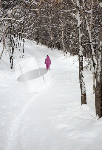 Image of Winter landscape