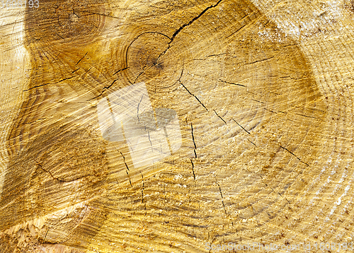 Image of old wooden surface