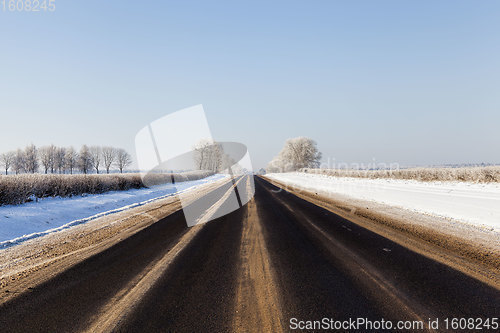 Image of road in the forest