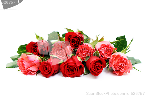 Image of lots of roses