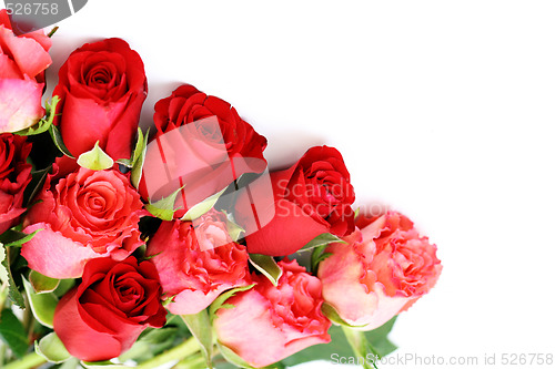 Image of lots of roses