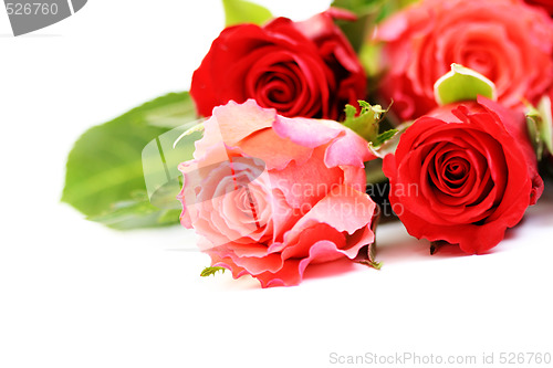 Image of lots of roses