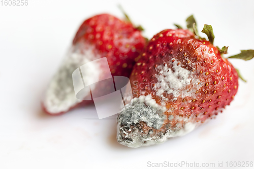 Image of spoiled red strawberries