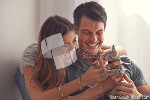 Image of Couple, kitten and smile in home on sofa with hug for love, bonding or care for pet in living room. People, man and woman with kindness, embrace and excited for baby cat in lounge for animal adoption