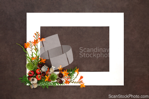 Image of Autumn Fall Thanksgiving Nature Background Frame