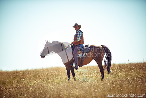 Image of Man, horse and countryside field as cowboy for adventure riding in Texas meadow for explore farm, exercise or training. Male person, animal and stallion in rural environment on saddle, ranch or hobby