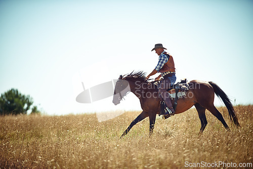 Image of Cowboy, blue sky and man riding horse with saddle on field in countryside for equestrian or training. Nature, summer and fresh air with person or horseback rider on animal outdoor in rural Texas