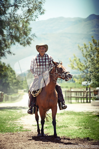 Image of Portrait, cowboy and horse riding with mature man on saddle on field in countryside for equestrian or training. Nature, summer and hobby with horseback rider on animal at ranch outdoor in rural Texas