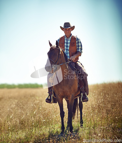 Image of Man, portrait and horse riding in countryside as cowboy or adventure in Texas meadow for explore, exercise or training. Male person, animal and stallion in rural environment on saddle, ranch or hobby