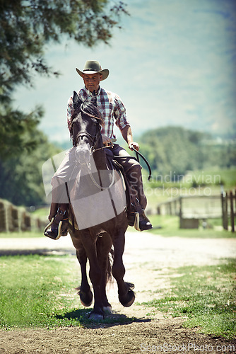 Image of Cowboy, summer and man riding horse with saddle on field in countryside for equestrian training. Nature, western and rodeo with mature horseback rider on animal at ranch outdoor in rural Texas