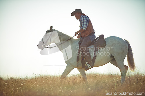 Image of Man, horse riding and countryside field as cowboy for adventure in Texas meadow to explore land, exercise or training. Male person, animal and stallion in rural environment on saddle, ranch or hobby