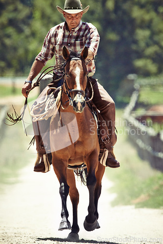 Image of Cowboy, running and man riding horse with saddle on field in countryside for equestrian or training. Nature, summer and speed with mature horseback rider on animal at ranch outdoor in rural Texas