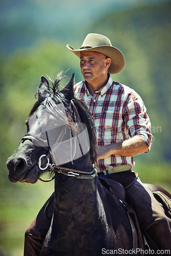 Image of Cowboy, nature and man riding horse with saddle on field in countryside for equestrian or training. Western, summer and rodeo with mature horseback rider on animal at ranch outdoor in rural Texas