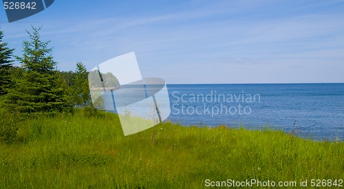 Image of Flood Bay Spring