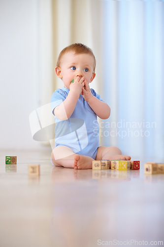 Image of Baby, wooden blocks and playing with toys for early childhood development or youth at home. Little boy, cute toddler or child on floor with shape or cube for building, learning or skills at the house