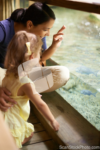 Image of Happy mother, child and aquarium with fish tank for sightseeing, learning or education of sea animals. Mom and young little girl looking at glass exhibit or exploring creatures in water at the zoo