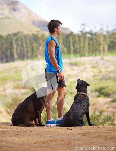 Image of Nature, mountain and athlete with dogs for exercise, fitness and morning run on path in Portugal. Trees, man and pets in forest for companion with workout, training or hiking for healthy body