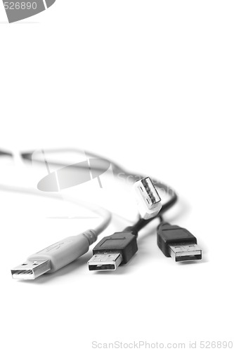 Image of some usb cable