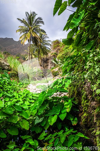 Image of Paul Valley landscape in Santo Antao island, Cape Verde