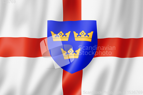 Image of East Anglia Region flag, UK