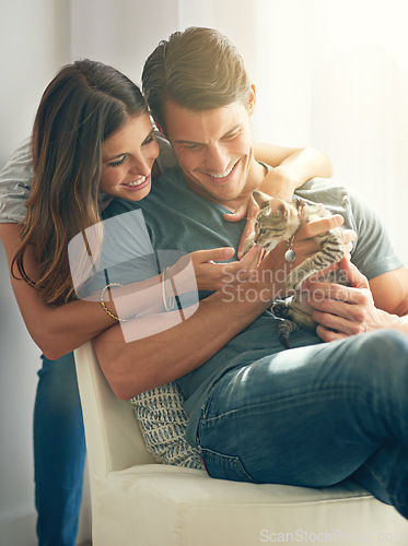 Image of Couple, kitten and happy in home on sofa with hug for love, bonding or care for pet in living room. People, man and woman with kindness, embrace and stroke for baby cat in lounge for animal adoption