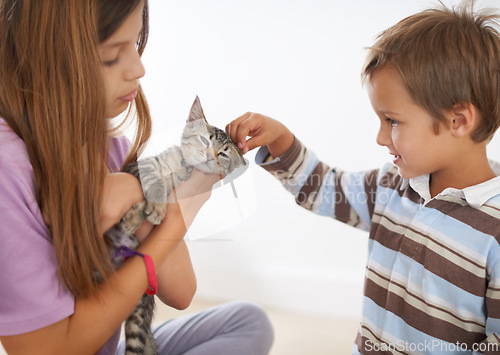 Image of Siblings, kitten and young boy in family home, scratching and love for small animal. Smile, happy or caring children with domestic cat, pet and rescue companion or adoption for childhood development