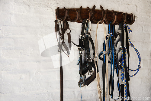 Image of Riding bridle, tack and horseshoe in wall leather, rope and metal or steel on farm. Countryside, equestrian and wooden with rein for rural, western and horse gear for training or competition