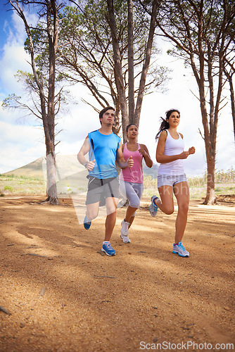 Image of Wood, running and group for outdoor on forest trail, environment and nature in summer for exercise. Diverse, friends and people in park for training, sport and fitness with trees on mockup space