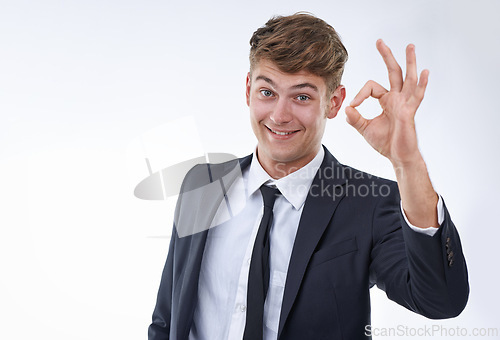 Image of Business man, portrait and OK hand gesture for success, support and agreement with emoji on white background. Praise, pride and excellence with vote or feedback, corporate employee and gratitude