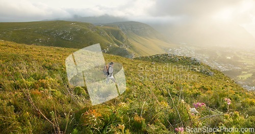 Image of Woman hiking, walking and travel on mountains for adventure, wellness and health in nature, flowers and plants. Sports person with backpack for trekking on a path, green hill and eco friendly journey