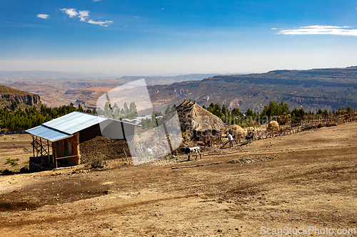 Image of Ethiopian farmer in the countryside. Oromia Region, Ethiopia
