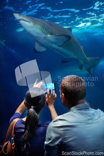 Image of Couple, aquarium and picture of shark, display and cellphone for capture of memories. Technology, photography and social media for married man and wife, animal or rescue centre for marine life