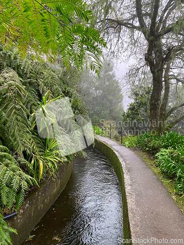 Image of beautiful Madeira landscape