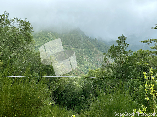 Image of beautiful Madeira landscape