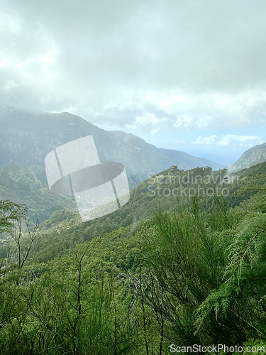 Image of beautiful Madeira landscape