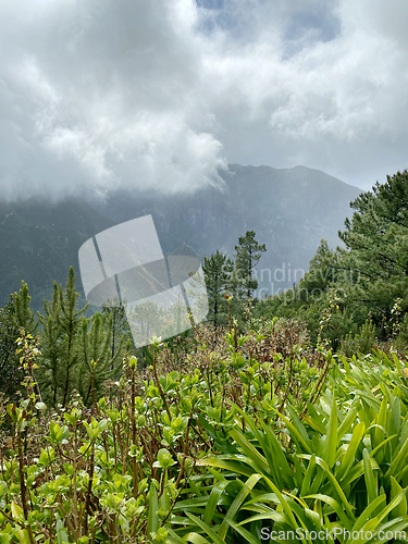 Image of beautiful Madeira landscape