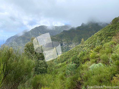 Image of beautiful Madeira landscape