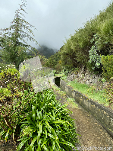 Image of beautiful Madeira landscape